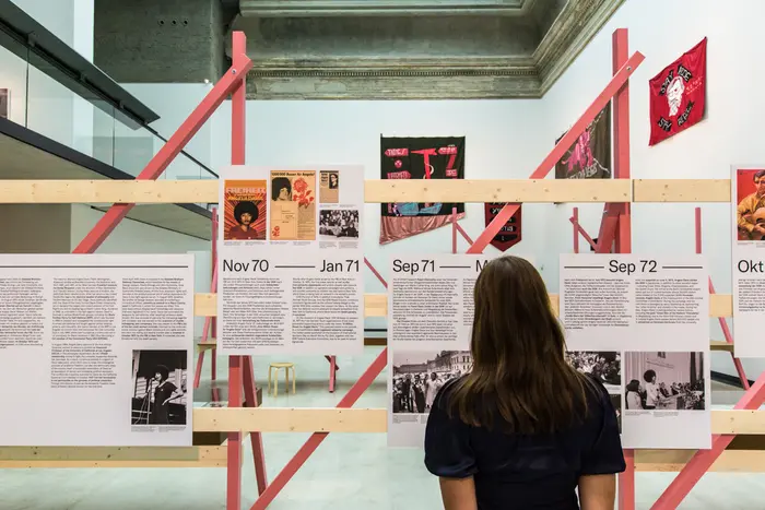 Exhibition view "1 Million Roses for Angela Davis"