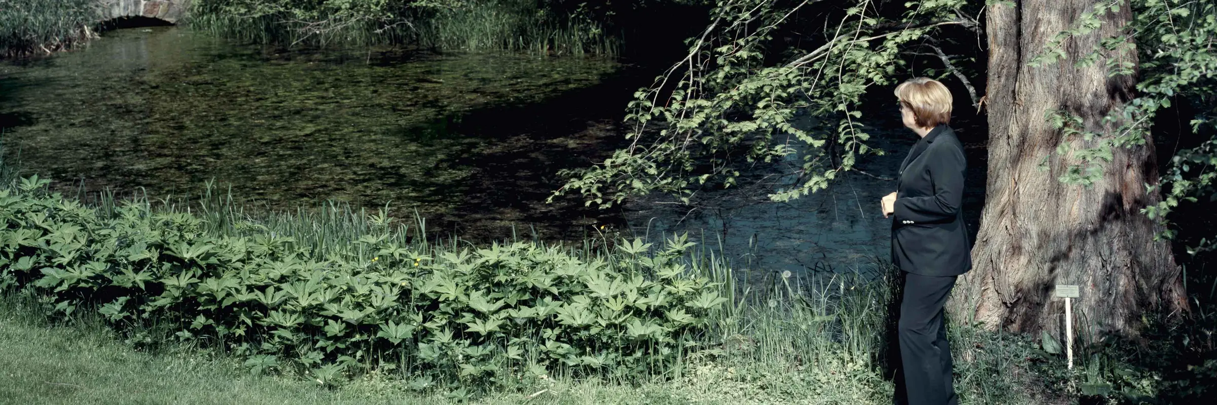 Andreas Mühe, Unterm Baum, 2008