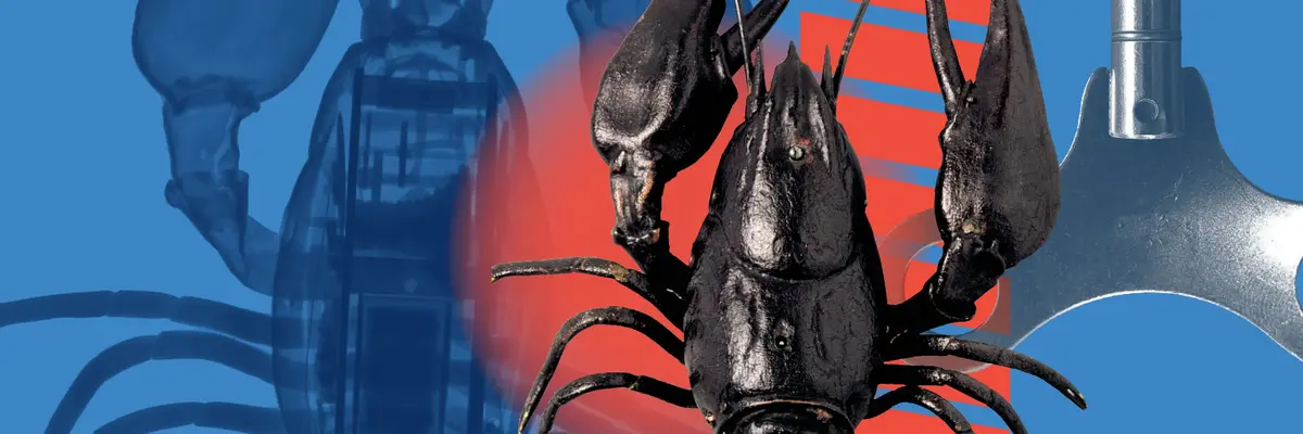 Der Schlüssel zum Leben