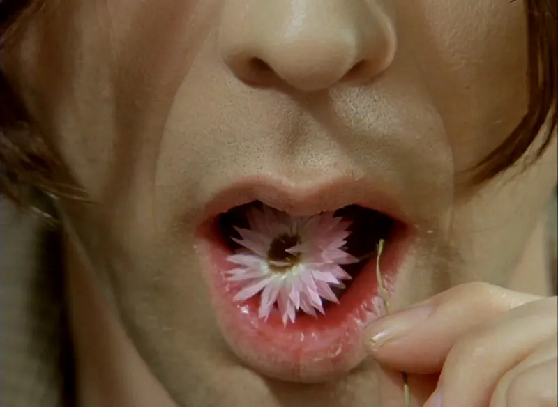 Jan Švankmajer, Food, 1992