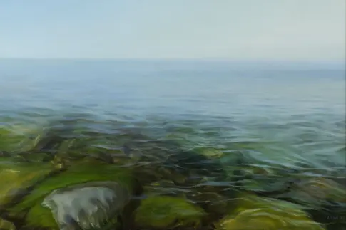 Meeresansicht, im Vordergrund von Algen bewachsene Steine im Wasser 