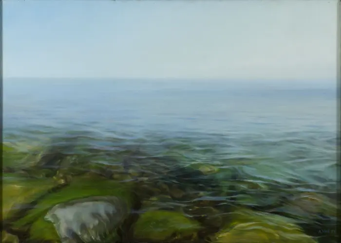 Meeresansicht, im Vordergrund von Algen bewachsene Steine im Wasser 